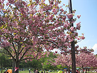 Img_1314