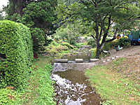 Img_10451