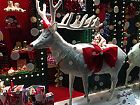 Img_13661